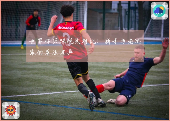世界杯买球规则对比：新手与老玩家的看法差异