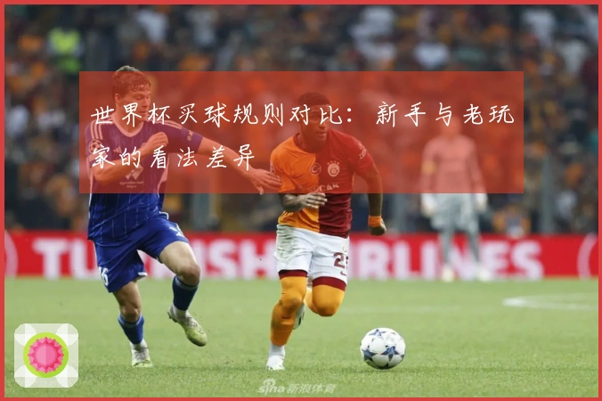世界杯买球规则对比：新手与老玩家的看法差异