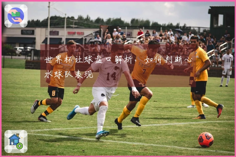 世界杯让球盘口解析，如何判断心水球队表现