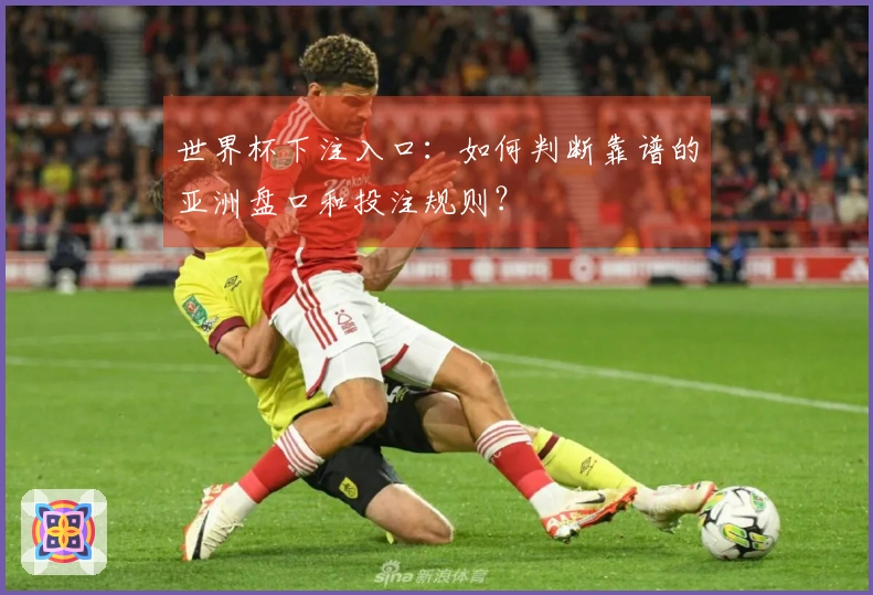 世界杯下注入口：如何判断靠谱的亚洲盘口和投注规则？