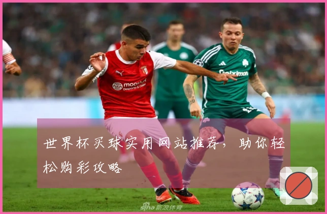 世界杯买球实用网站推荐，助你轻松购彩攻略