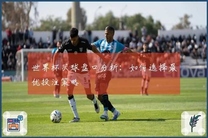世界杯买球盘口分析：如何选择最优投注策略