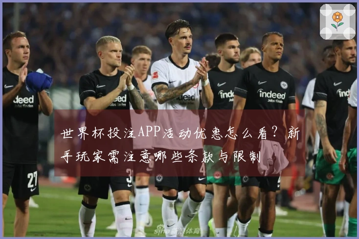 世界杯投注APP活动优惠怎么看？新手玩家需注意哪些条款与限制