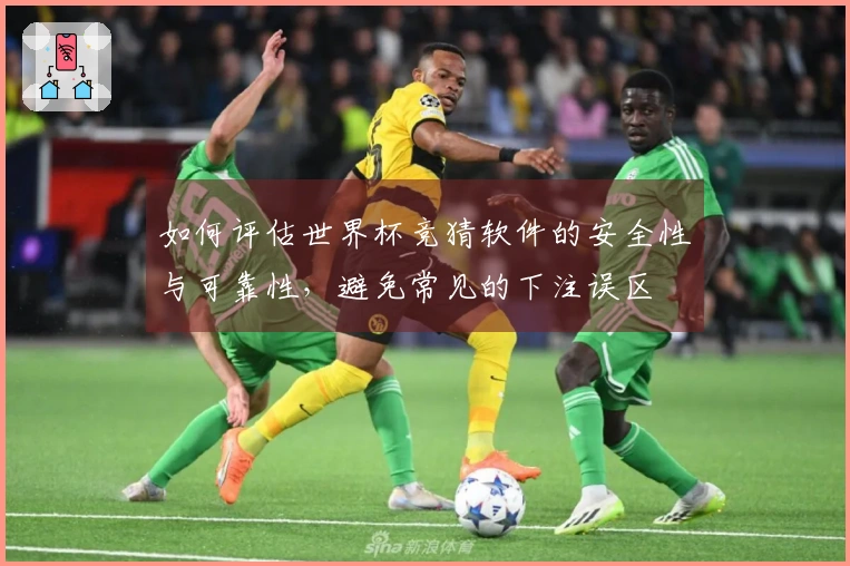 如何评估世界杯竞猜软件的安全性与可靠性，避免常见的下注误区