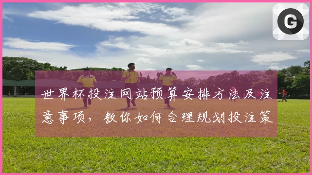 世界杯投注网站预算安排方法及注意事项，教你如何合理规划投注策略