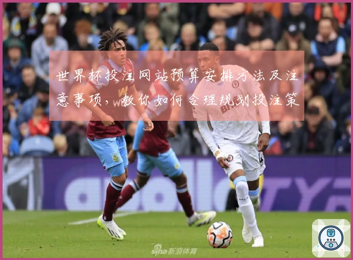世界杯投注网站预算安排方法及注意事项，教你如何合理规划投注策略