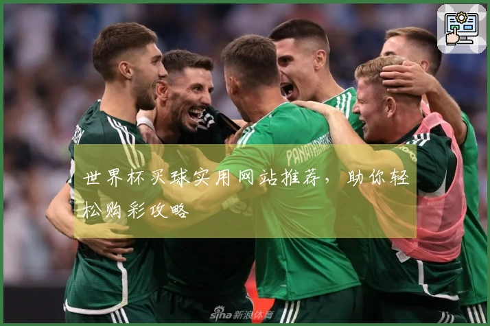 世界杯买球实用网站推荐，助你轻松购彩攻略