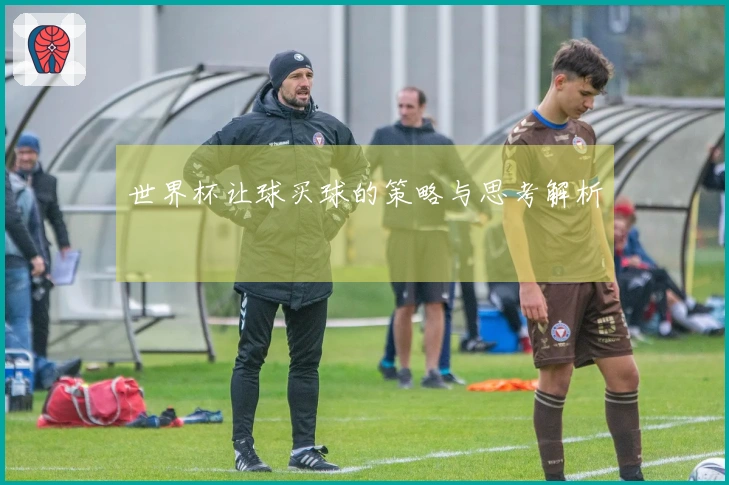 世界杯让球买球的策略与思考解析