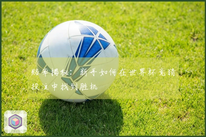 赔率揭秘：新手如何在世界杯竞猜投注中找到胜机