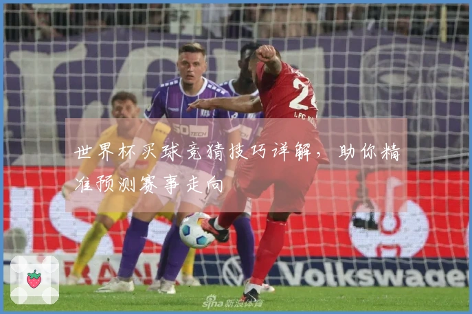 世界杯买球竞猜技巧详解，助你精准预测赛事走向