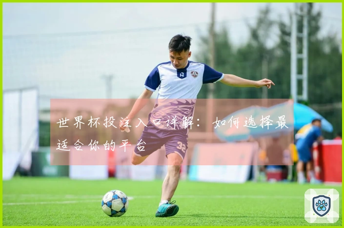 世界杯投注入口详解：如何选择最适合你的平台
