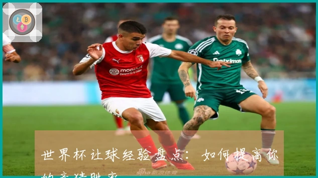 世界杯让球经验盘点：如何提高你的竞猜胜率