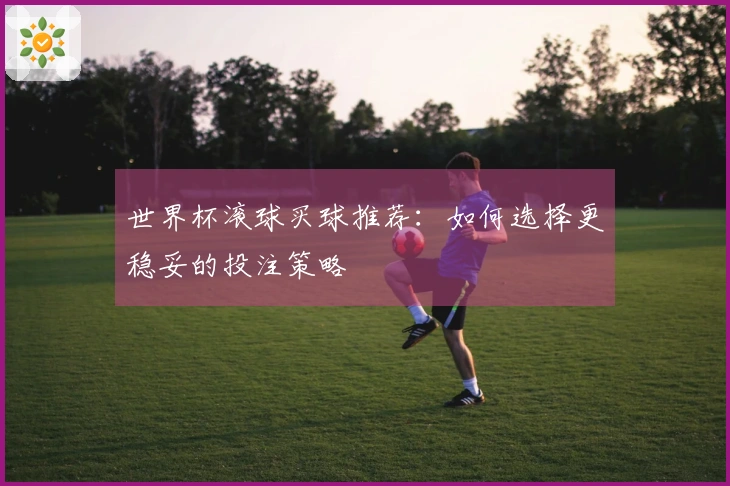 世界杯滚球买球推荐：如何选择更稳妥的投注策略