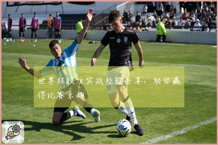 世界杯投注实战经验分享,助你赢得比赛乐趣