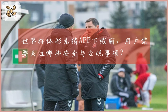 世界杯体彩竞猜APP下载前，用户需要关注哪些安全与合规事项？