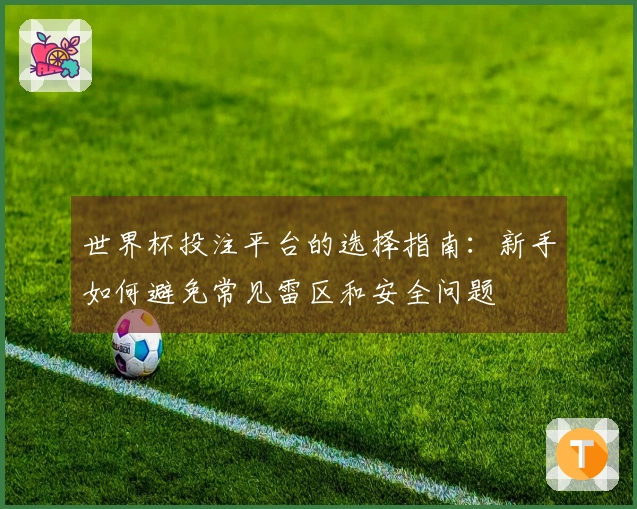 世界杯投注平台的选择指南：新手如何避免常见雷区和安全问题