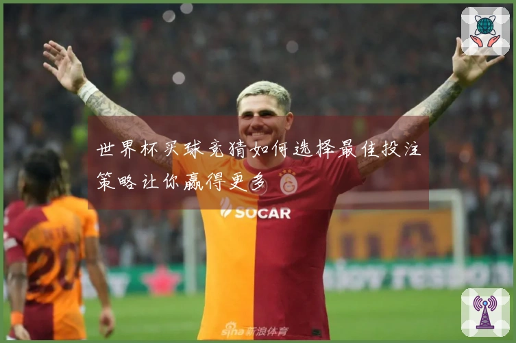 世界杯买球竞猜如何选择最佳投注策略让你赢得更多