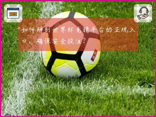如何辨别世界杯竞猜平台的正规入口，确保安全投注？