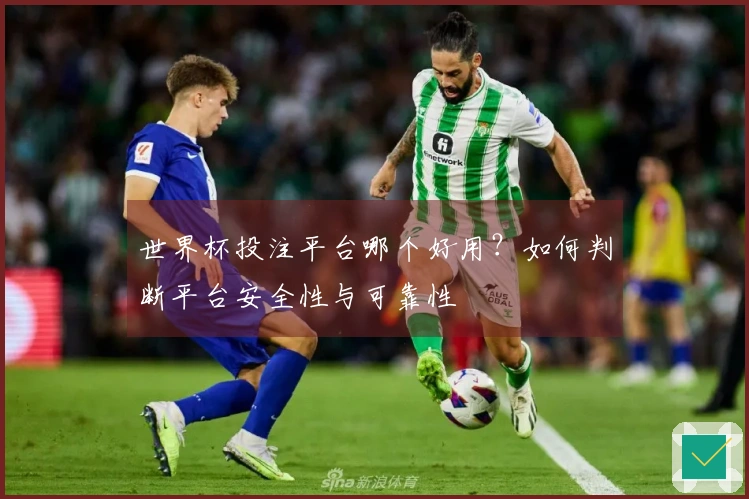 世界杯投注平台哪个好用？如何判断平台安全性与可靠性