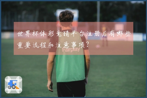 世界杯体彩竞猜平台注册后有哪些重要流程和注意事项？