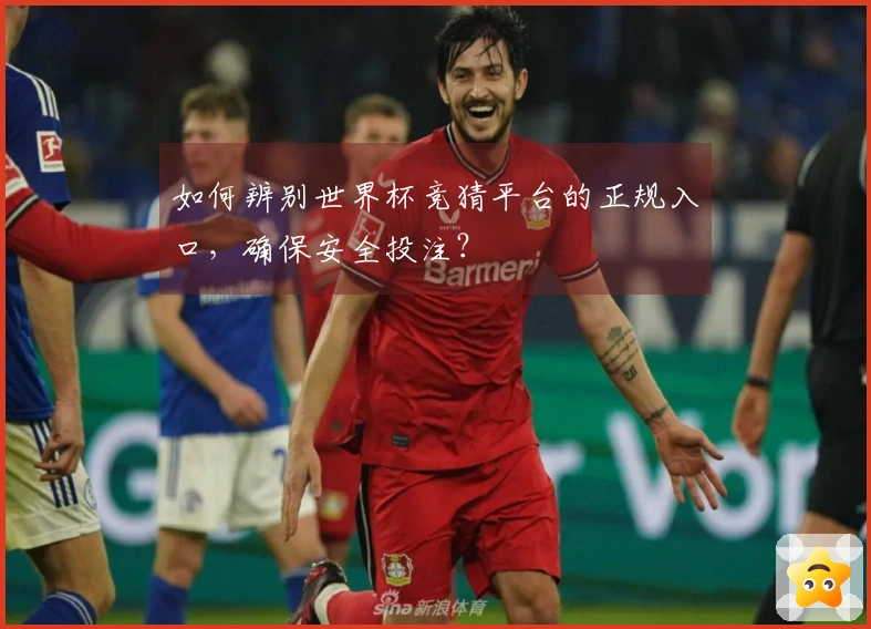 如何辨别世界杯竞猜平台的正规入口，确保安全投注？