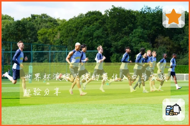 世界杯滚球买球的最佳入口与实战经验分享