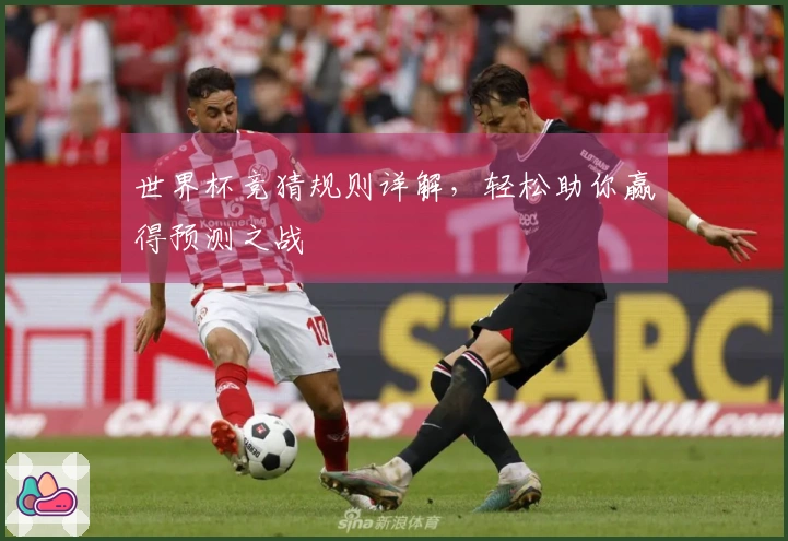 世界杯竞猜规则详解，轻松助你赢得预测之战