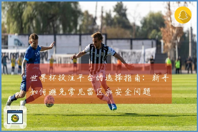世界杯投注平台的选择指南：新手如何避免常见雷区和安全问题