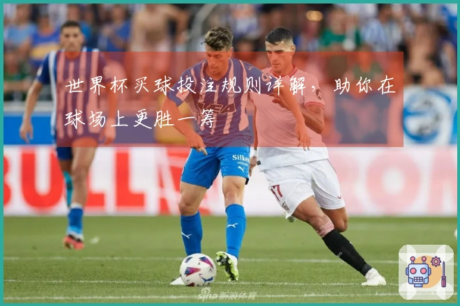 世界杯买球投注规则详解，助你在球场上更胜一筹