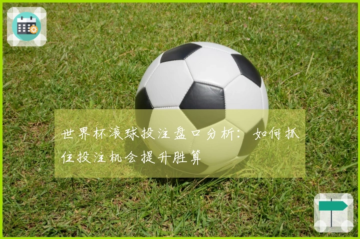 世界杯滚球投注盘口分析：如何抓住投注机会提升胜算