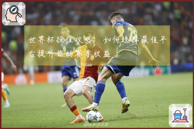 世界杯投注攻略：如何选择最佳平台提升你的赛季收益