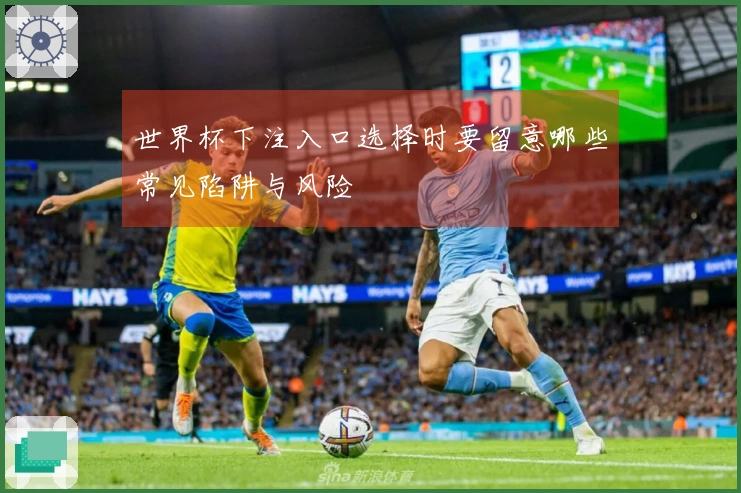 世界杯下注入口选择时要留意哪些常见陷阱与风险