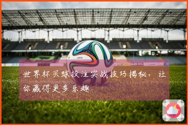 世界杯买球投注实战技巧揭秘，让你赢得更多乐趣