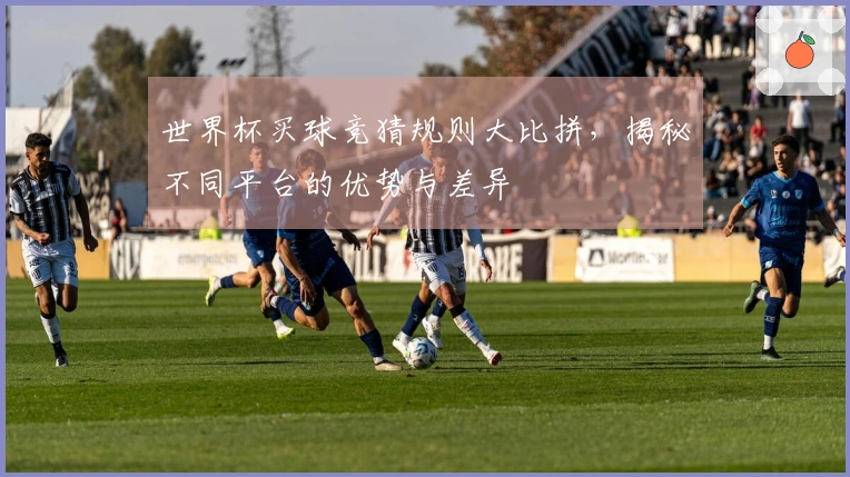 世界杯买球竞猜规则大比拼，揭秘不同平台的优势与差异